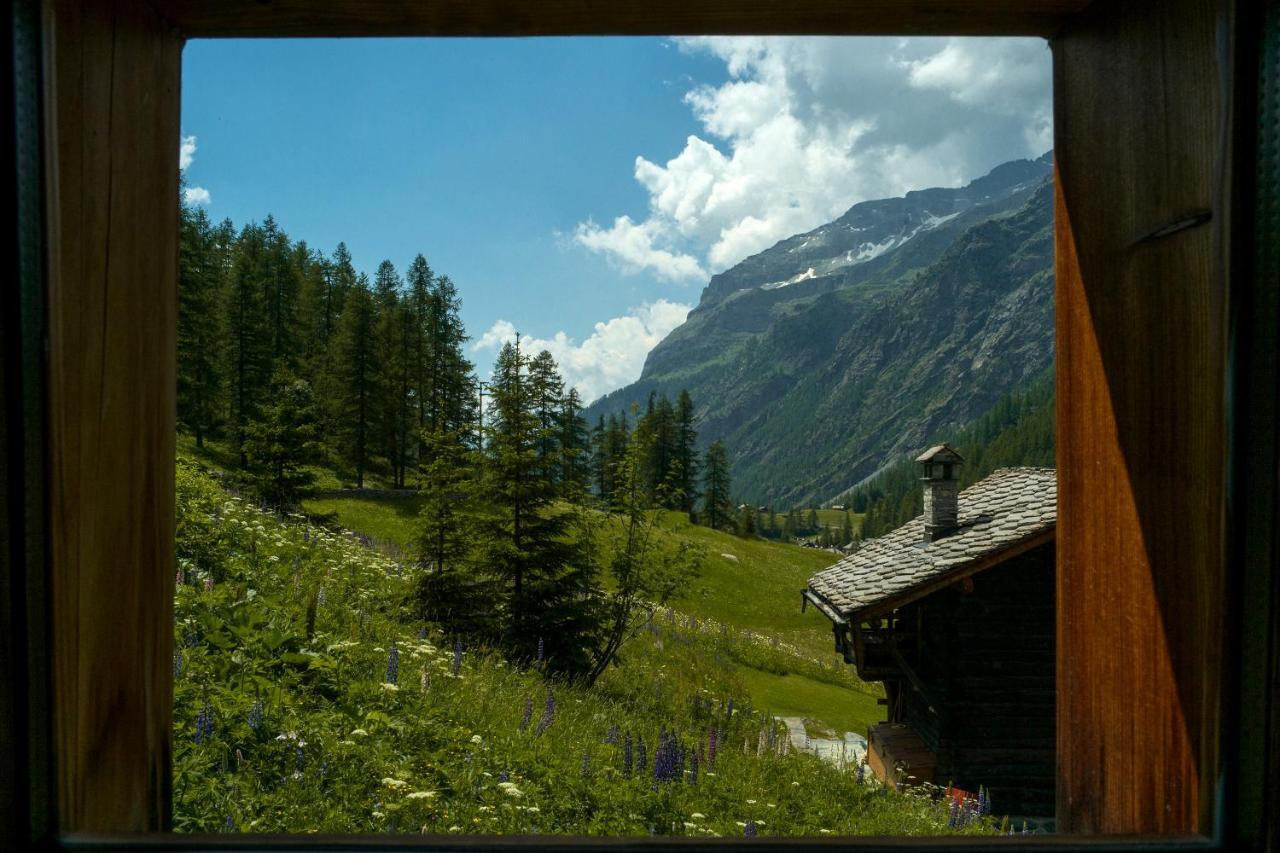 Villa Redelnascht Gressoney-la-Trinité Esterno foto